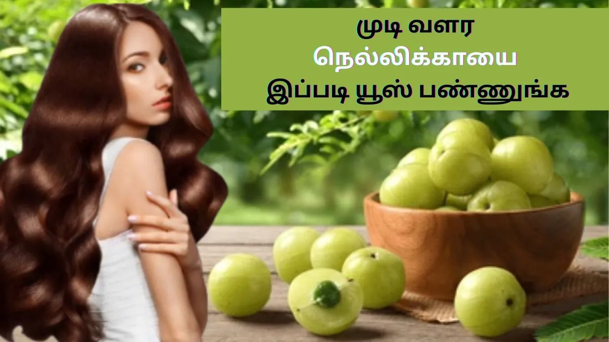 இடுப்பு வரை அலை அலையா முடி இருக்கனுமா.? நெல்லிக்காயை இப்படி யூஸ் பண்ணுங்க..