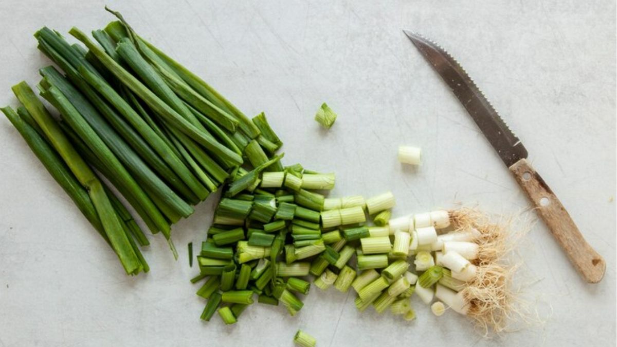 artical  - 2025-04-27T211050.560