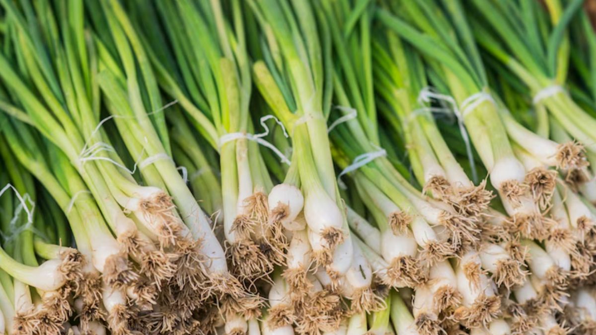 artical  - 2025-04-27T211139.746