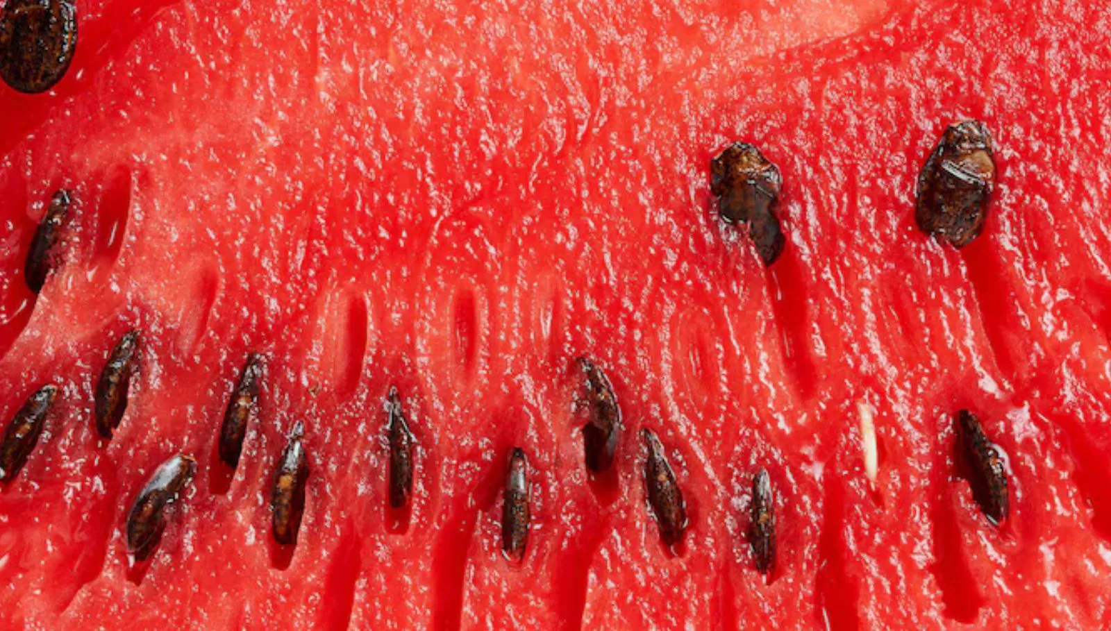 Watermelon Seeds: தர்பூசணி விதைகளில் இவ்வளவு விஷயம் இருக்கா? இனி கொட்டைகளை துப்ப மாட்டிங்க!