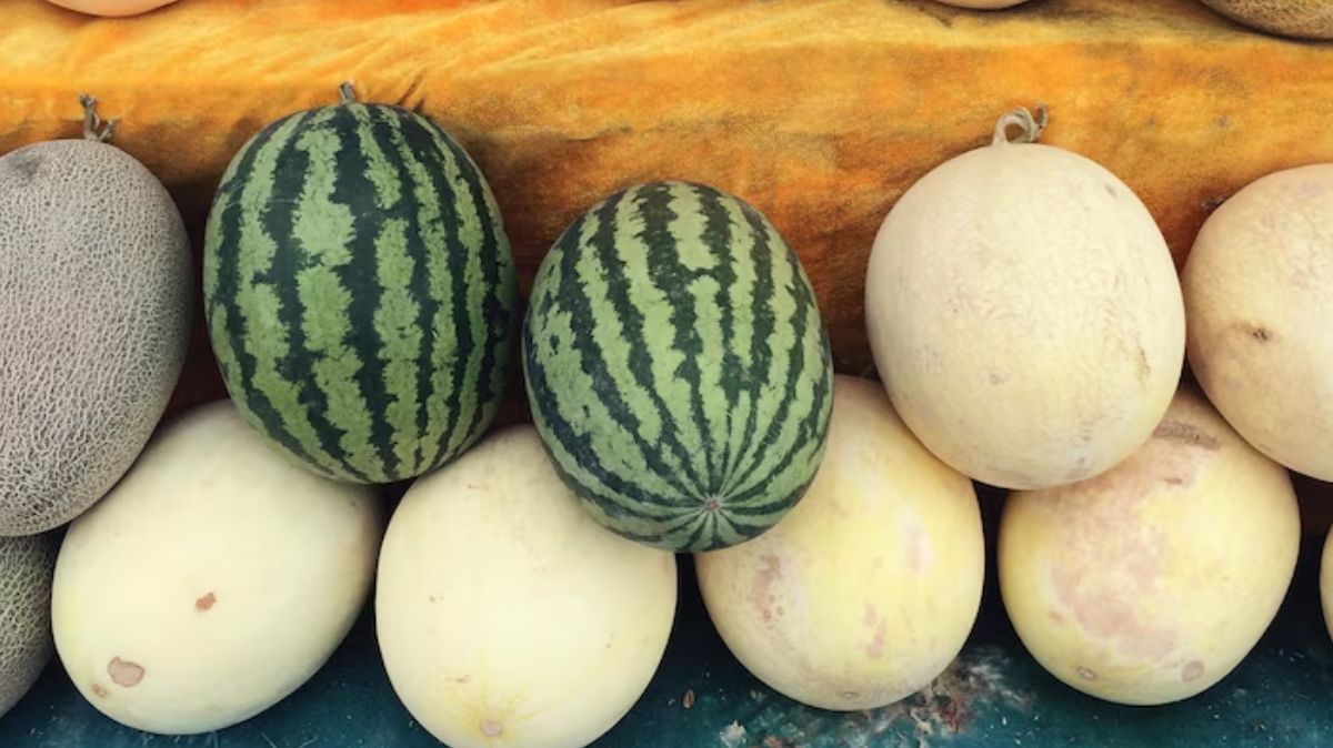 artical - 2025-04-28T065715.621