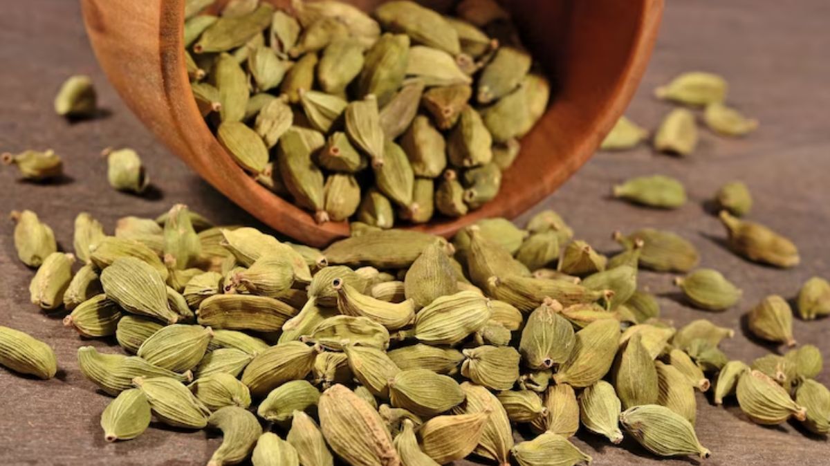 artical  - 2025-04-28T212531.716