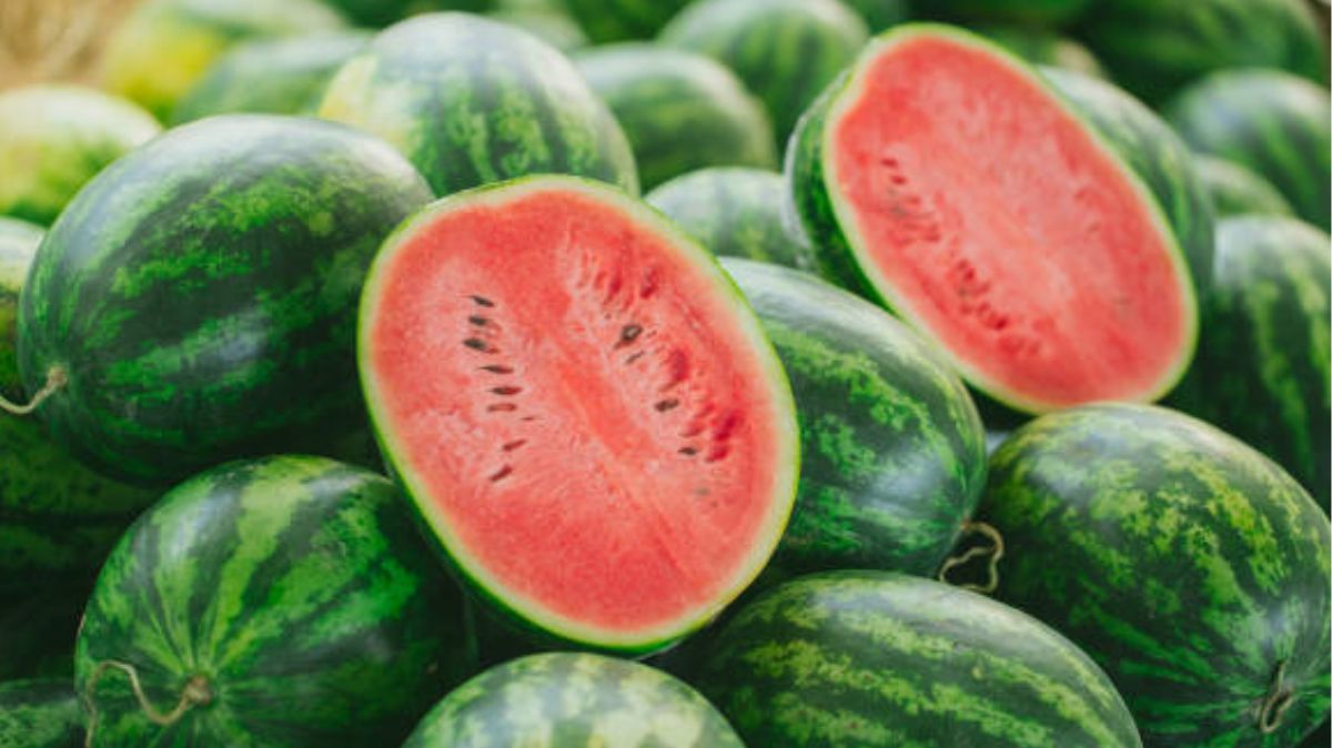 artical  - 2025-04-28T224205.780