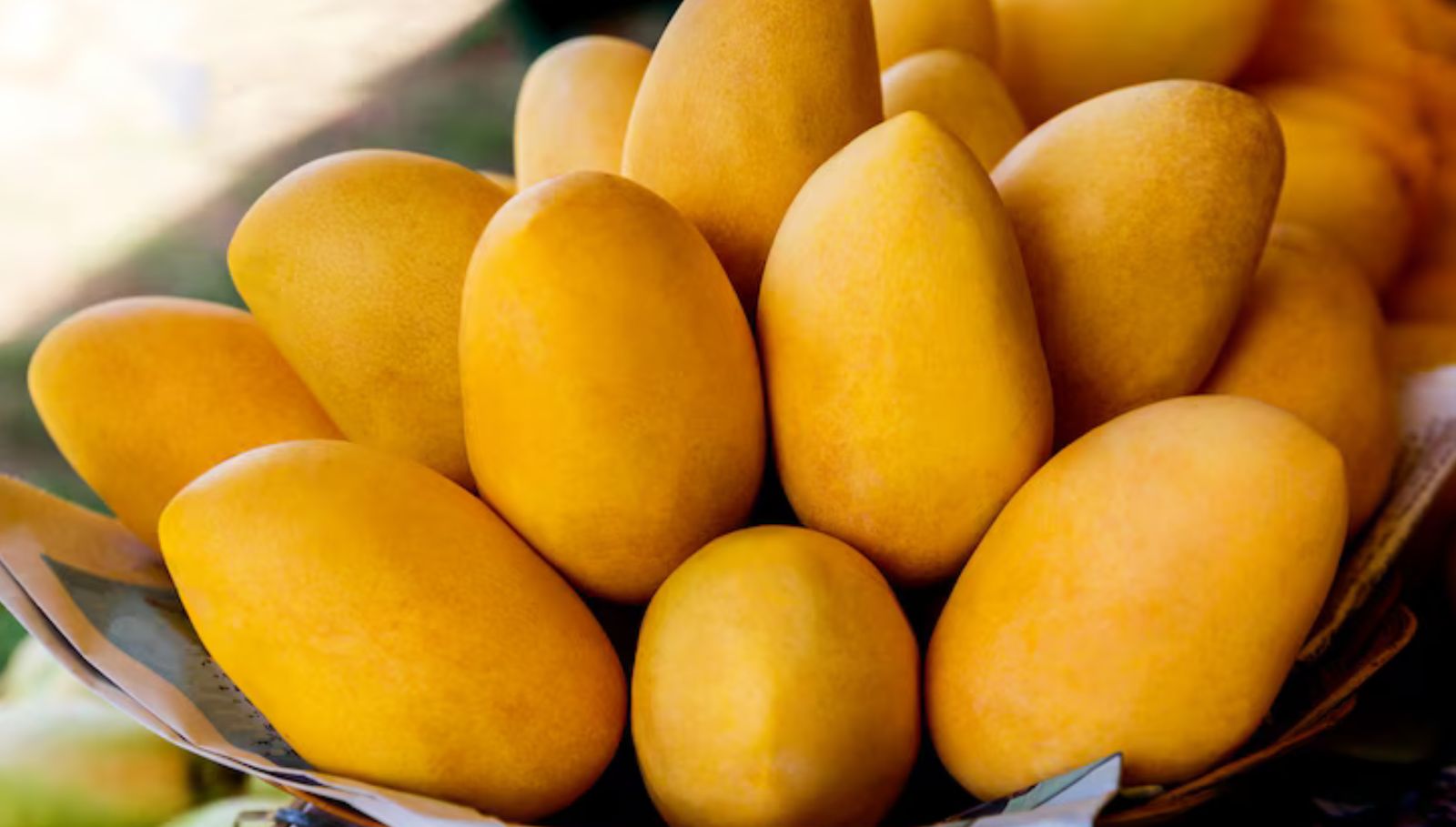 mango-benefit-in-summer-tamil