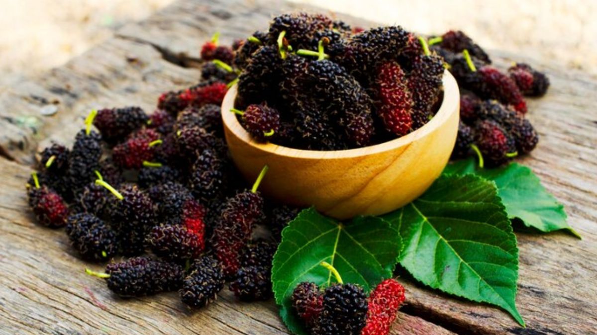 artical  - 2025-04-30T130123.913