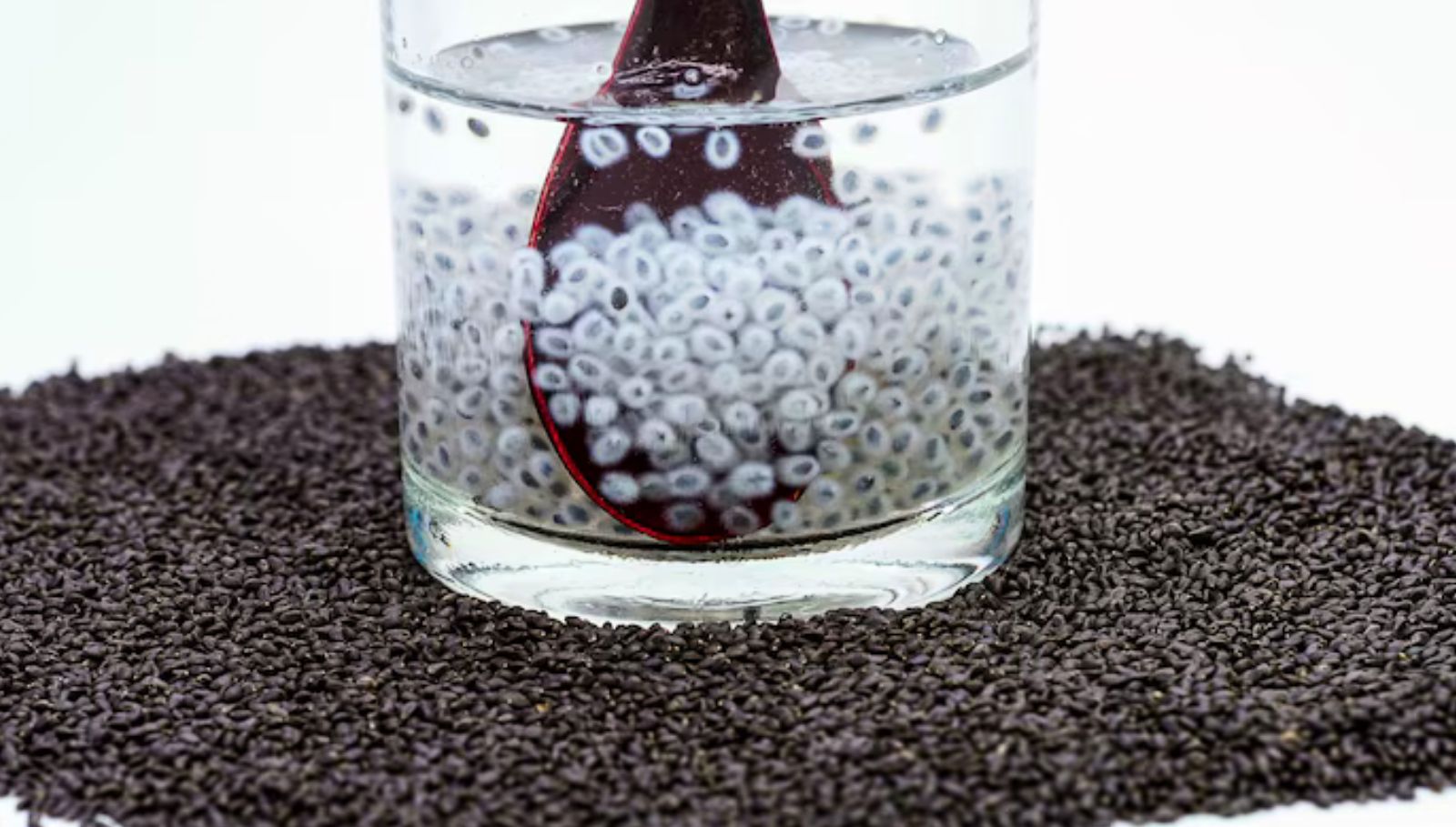 sabja-seeds-in-tamil