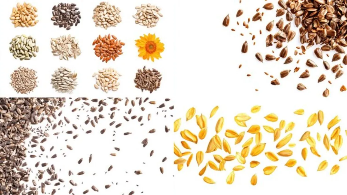 Weight Loss Seeds: சரசரனு வெய்ட்டு குறைய.. இந்த விதைகளை சாப்பிடுங்க..