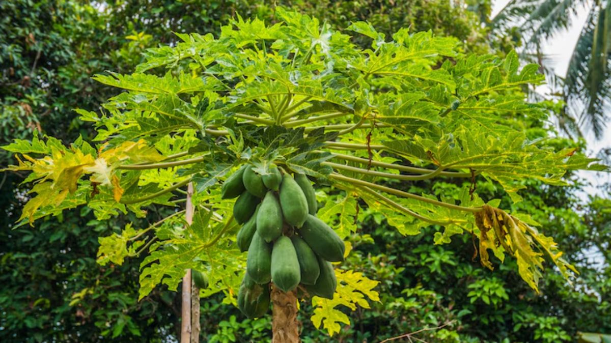 artical  - 2025-05-02T094711.896