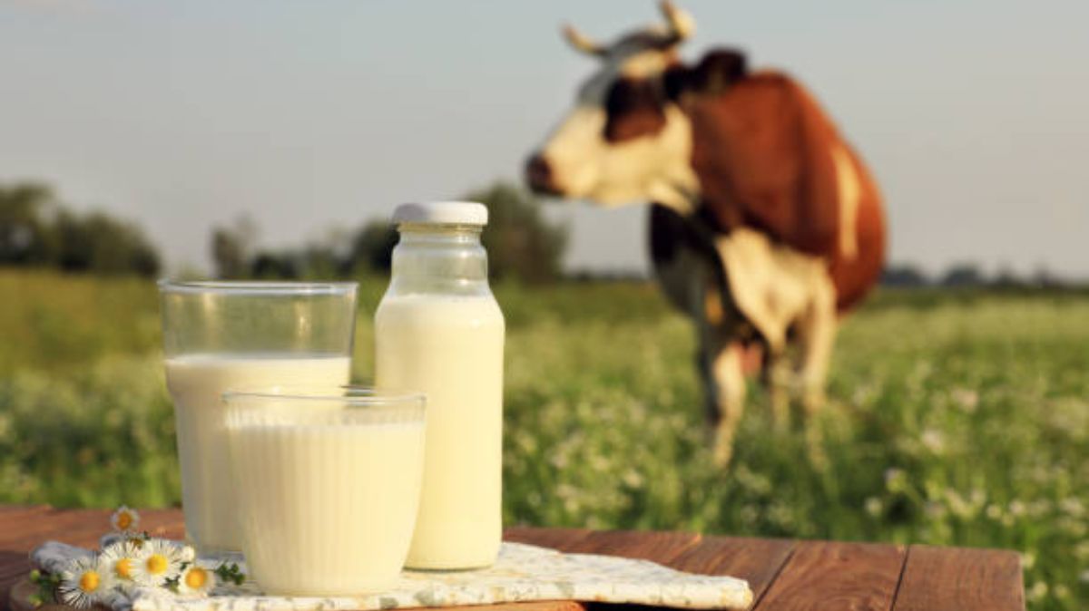 artical - 2025-05-02T143323.461