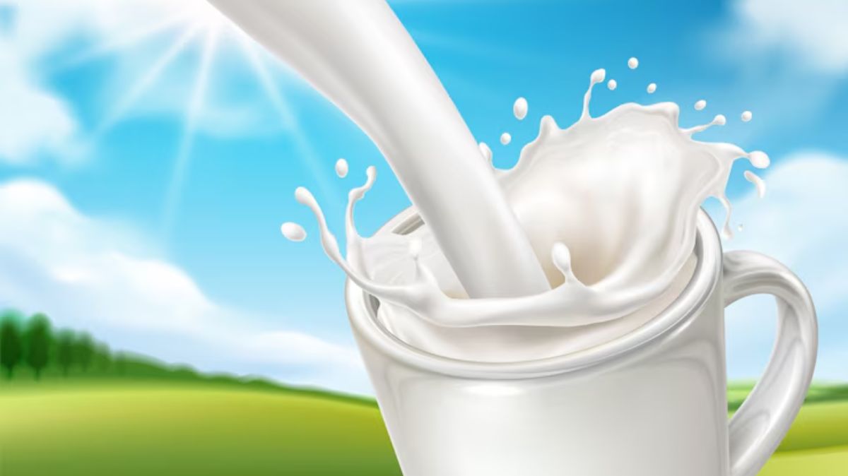 artical - 2025-05-02T143414.758