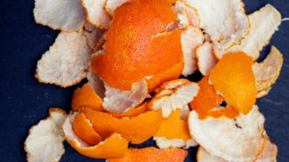 artical - 2025-05-02T155544.109