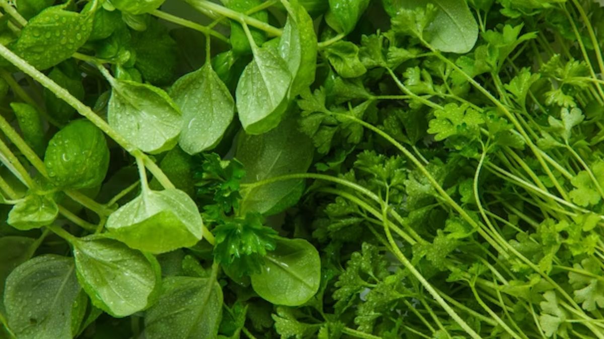 green leaf vegetables benefits