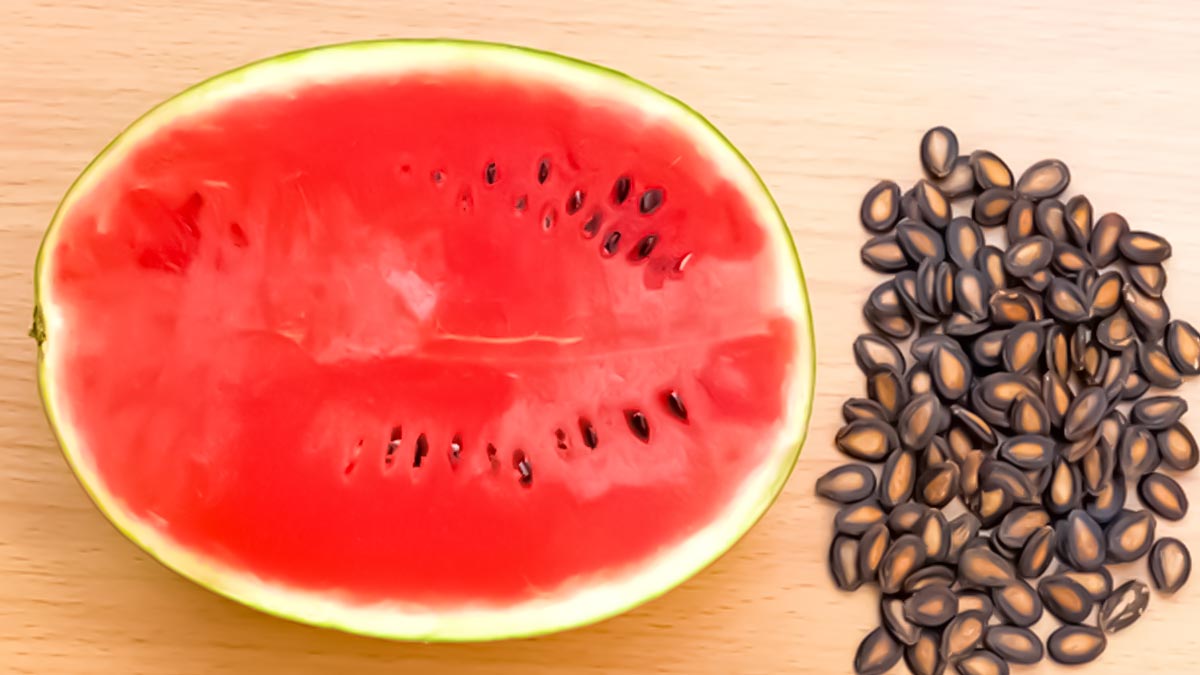 health-benefits-of-watermelon-seeds-main