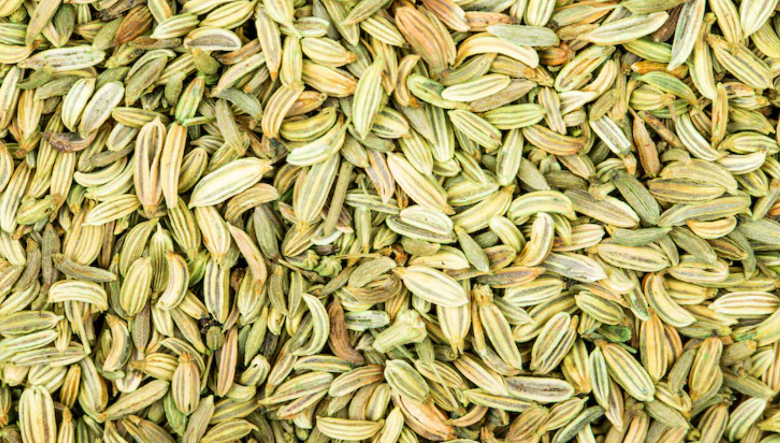 dhinasari-perunjeeragam-sapidalama