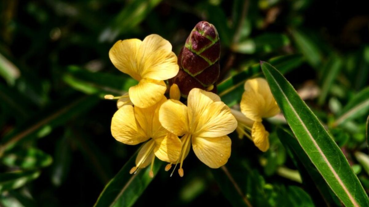 artical  - 2025-05-04T063120.965