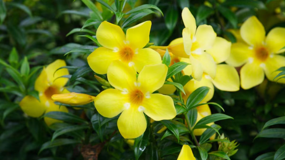 artical  - 2025-05-04T063202.112