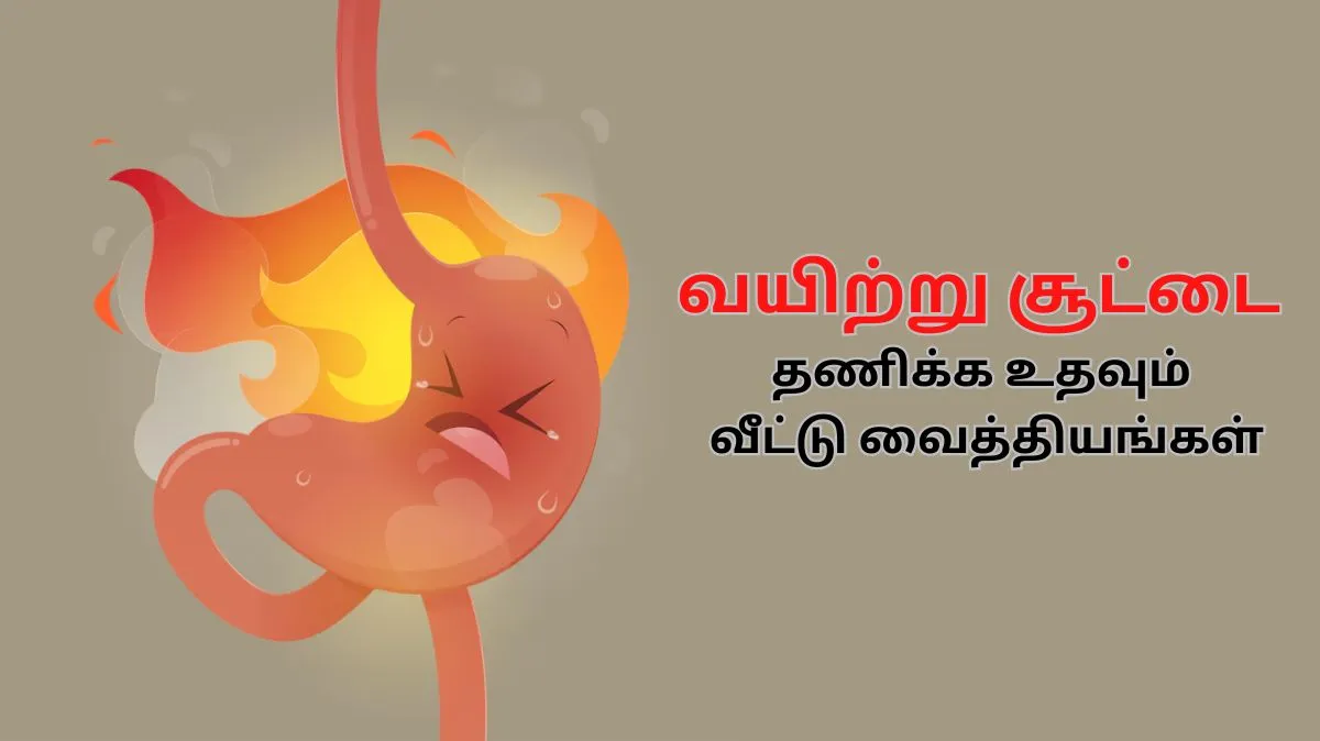 சாப்பிட்ட பிறகு வயிற்றில் சூடு ஏற்படுகிறதா.? இந்த வீட்டு வைத்தியங்கள் மூலம் நிவாரணம் பெறுங்கள்..