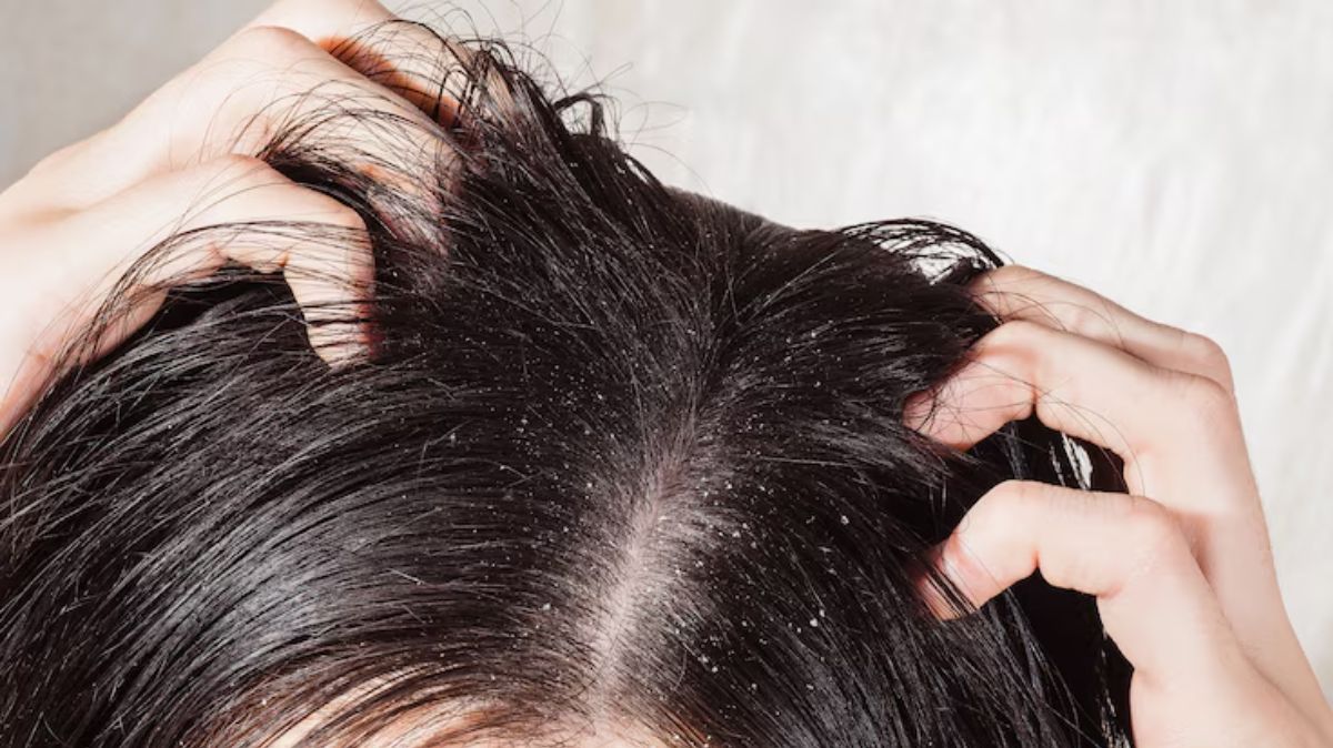 artical  - 2025-05-05T165421.270