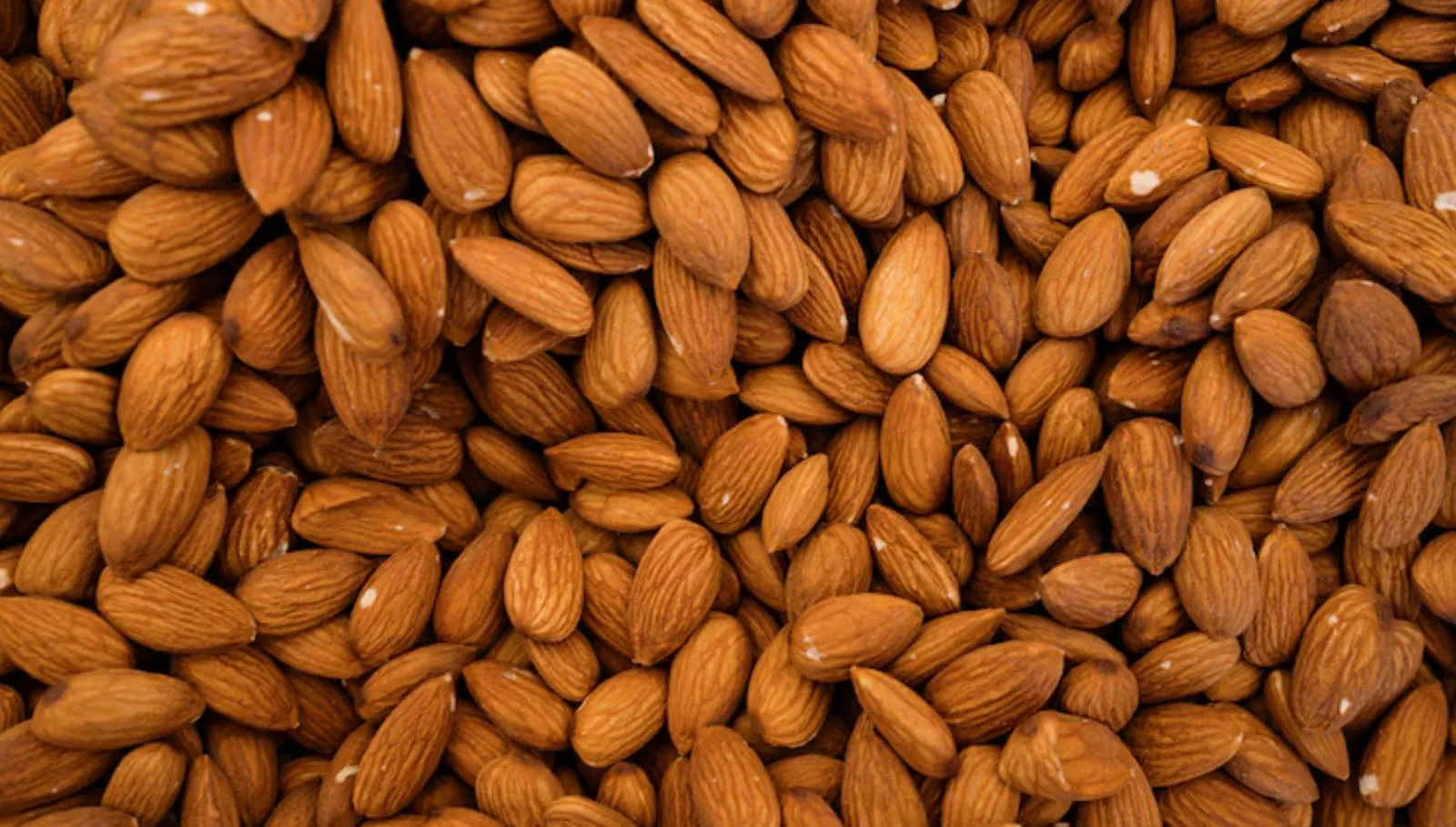 Almonds for Calcium: எலும்பு வலுவாக உடலில் கால்சியம் அளவு அதிகரிக்கும் பாதாம்!