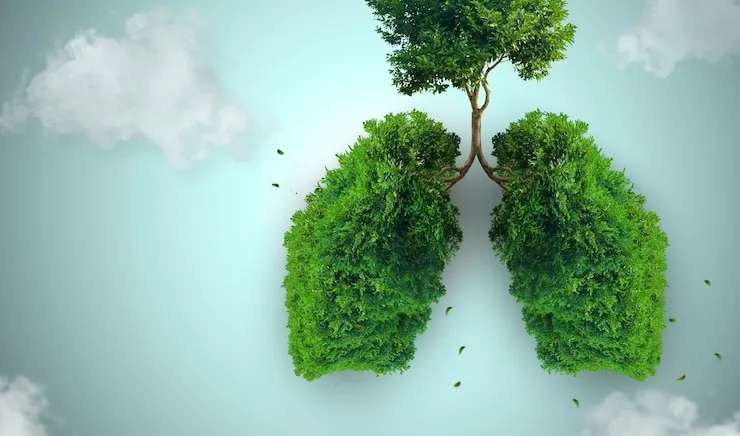 World asthma day 2025: ஆஸ்துமாவை கட்டுப்படுத்த உதவும் 5 இயற்கையான பானங்கள் இதோ...!
