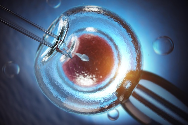 artificial-insemination-fertiliz