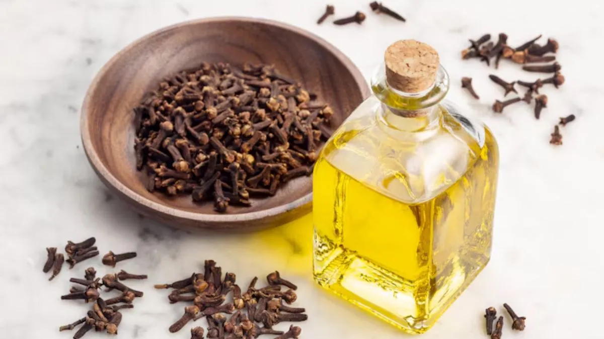 ஆண்களுக்கு ஏற்படும் இந்தப் பிரச்சனைகளை கிராம்பு எண்ணெய் குணப்படுத்தும்.! இதை எப்படி பயன்படுத்துவது என்று நிபுணரிடம் இருந்து தெரிந்து கொள்ளுங்கள்..