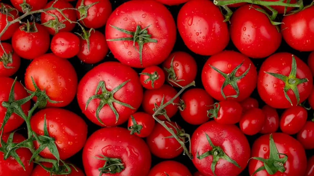Tomatoes Increase Blood: தக்காளி சாப்பிட்டால் இரத்த எண்ணிக்கை அதிகரிக்குமா? ஆய்வு சொல்லும் உண்மை