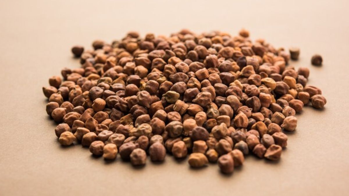 artical - 2025-05-12T224937.655