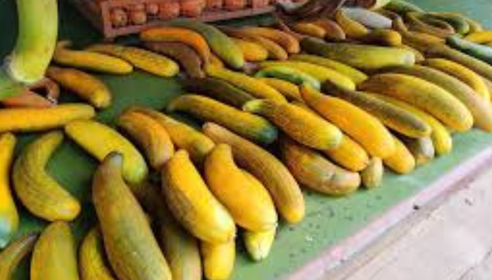 cucumber-fruit-in-summer-tamil