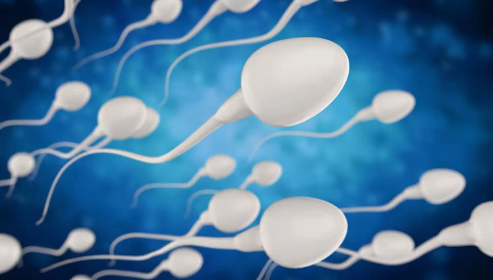 Sperm Count: ஆண்களே கவலை வேணாம்., விந்தணு எண்ணிக்கை அதிகரிக்க இதை மட்டும் சாப்பிட்டு பாருங்க!