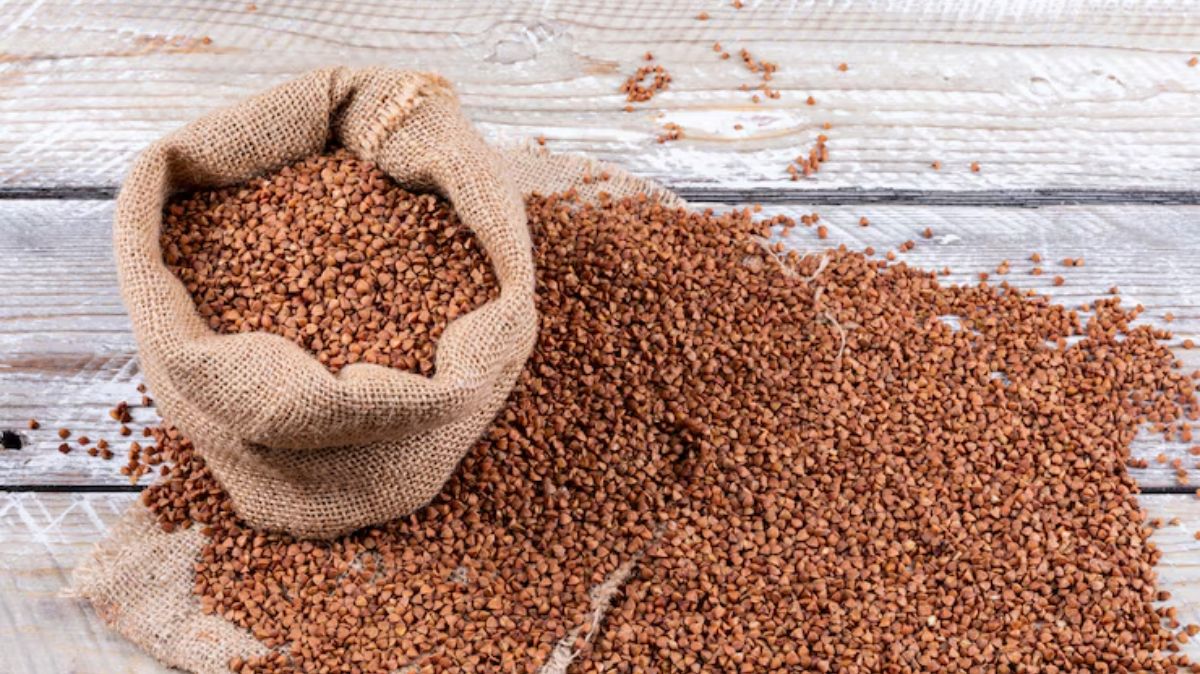 artical  - 2025-05-14T153349.984