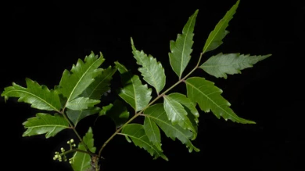 artical  - 2025-05-14T230715.907