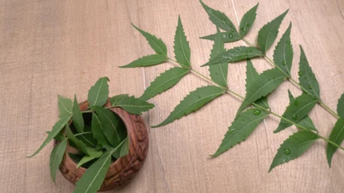 artical  - 2025-05-14T230742.170