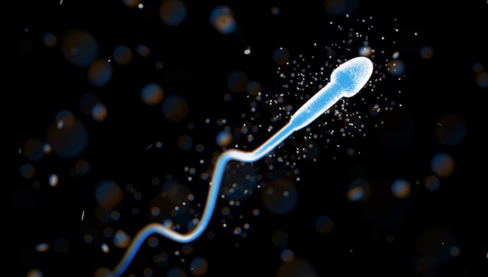 sperm-count-increase-tips-in-tamil
