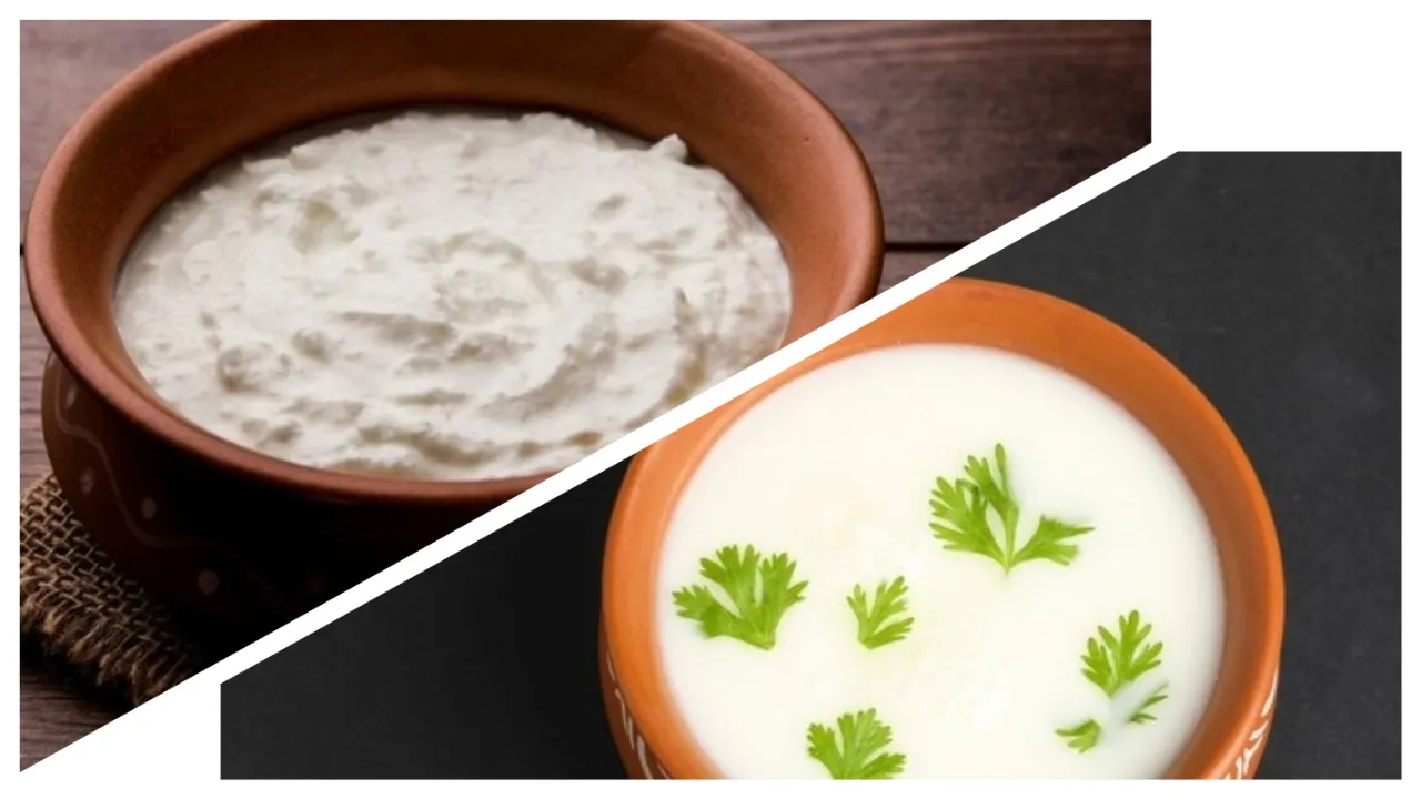 Buttermilk Or Curd: கோடையில் மோர் Vs தயிர் - உடல் சூட்டைக் குறைக்க எது சிறந்தது?