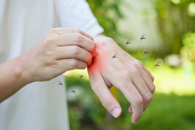 dengue1