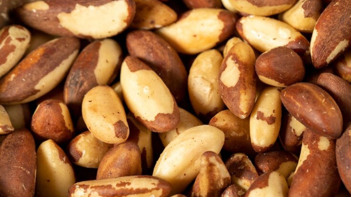 artical  - 2025-05-17T082820.858