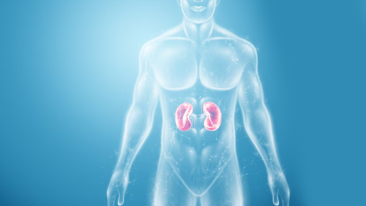 which-yoga-is-best-for-kidneys-main