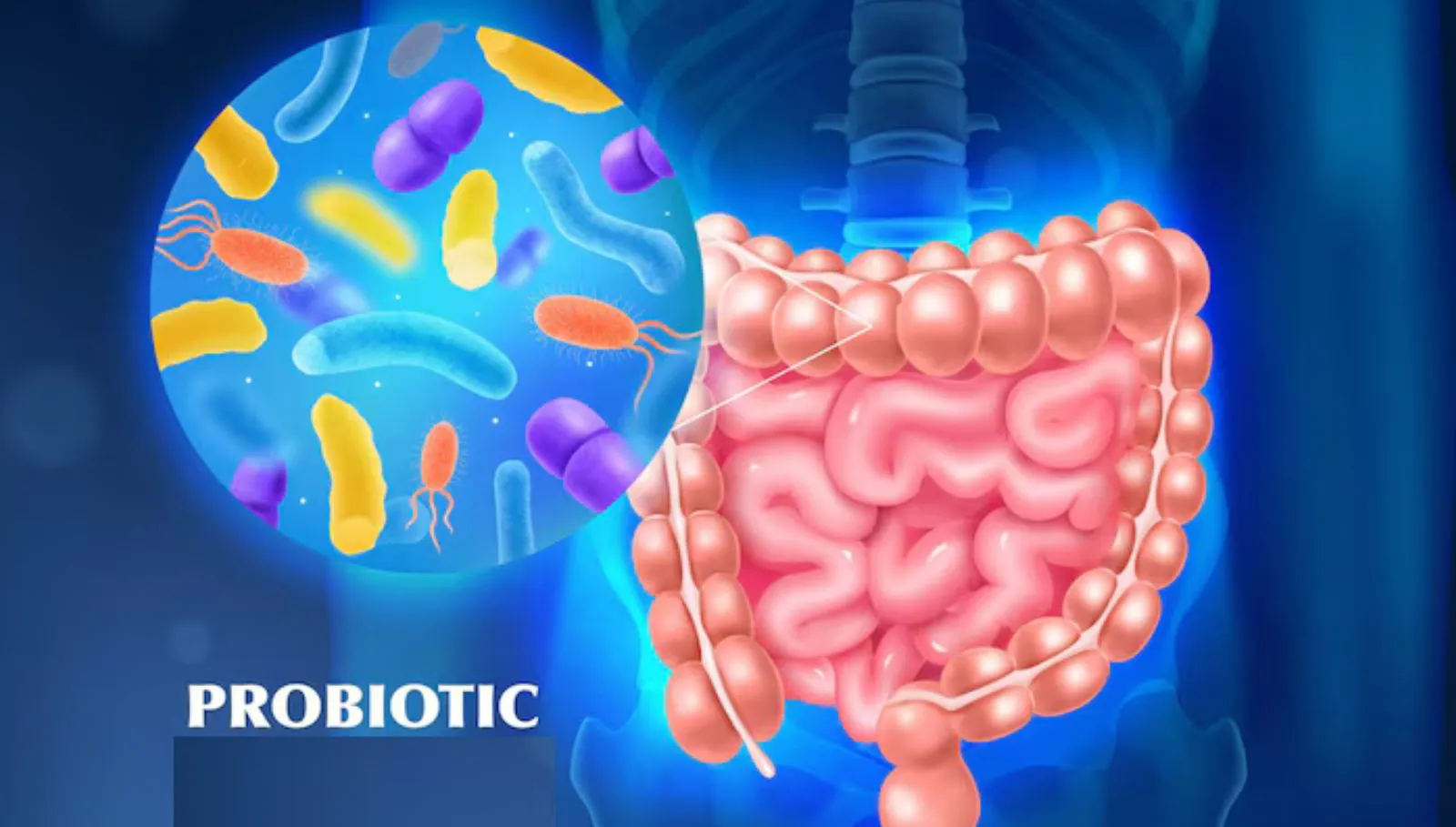 Probiotics for Guts: கல்லை சாப்பிட்டால் குடல் செரிமானம் செய்து ஆரோக்கியமா இருக்க இதை சாப்பிடுங்க!