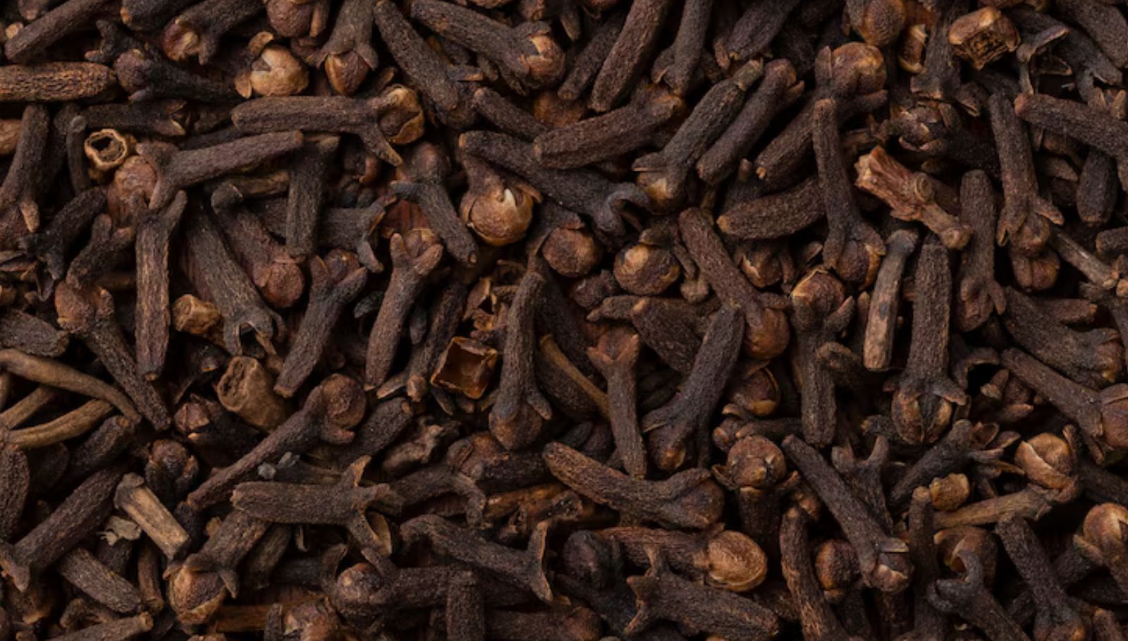clove-benefits-tamil