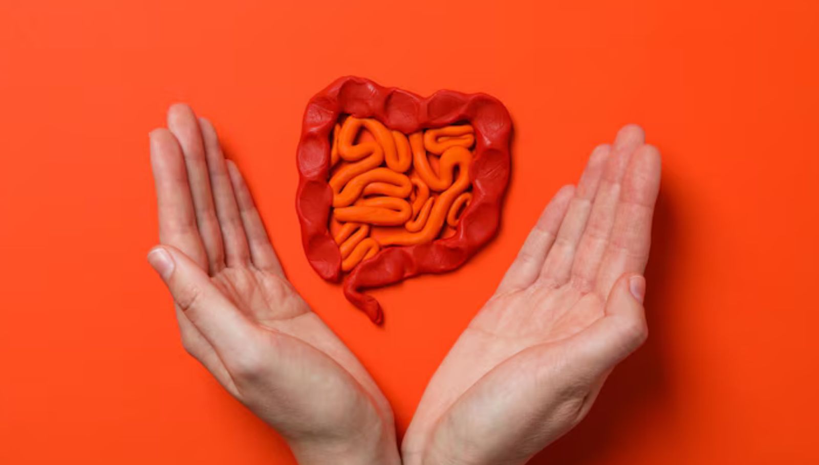 gut-health-foods-probiotic-foods