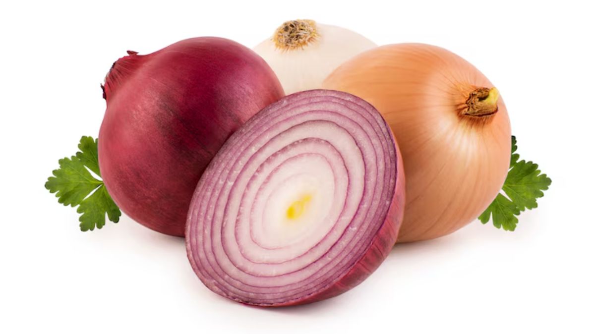 artical  - 2025-05-22T071806.995