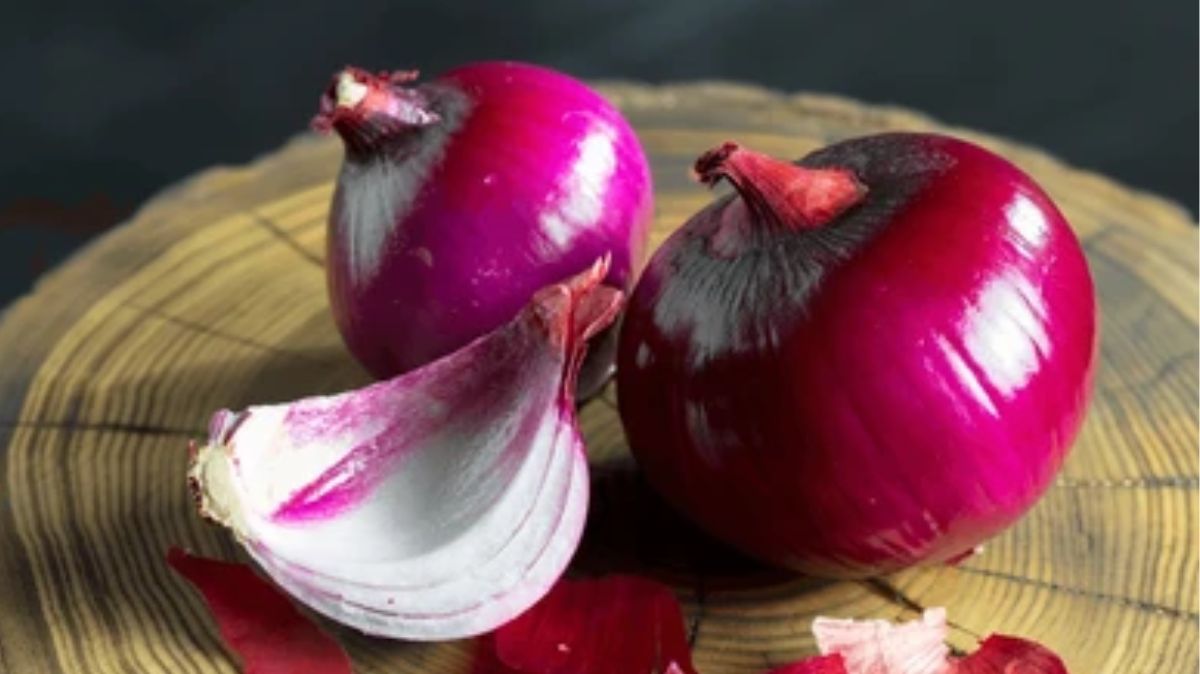 artical  - 2025-05-22T071906.831