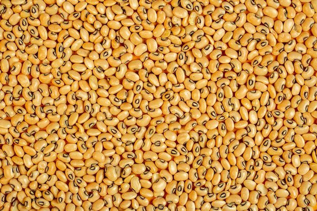 soya bean