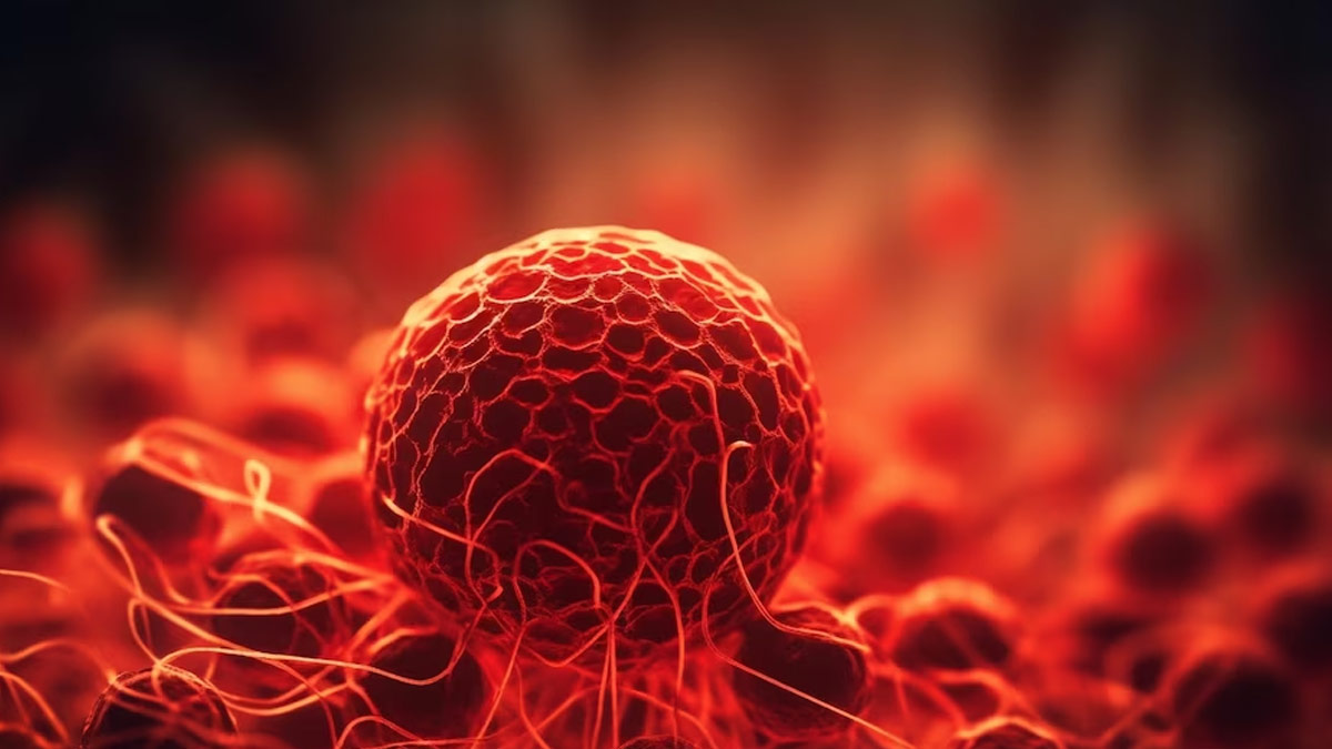 what-are-the-sign-and-diagnosis-of-blood-cancer-01