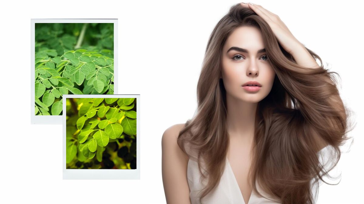 how-to-use-moringa-leaves-for-hair-growth-main