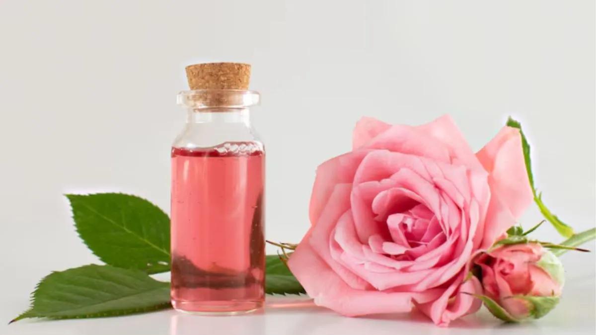 தினமும் முகத்தில் ரோஸ் வாட்டர் தடவுவது பாதுகாப்பானதா?