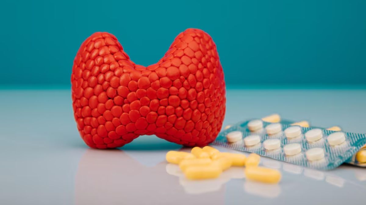 artical  - 2025-05-25T150013.004