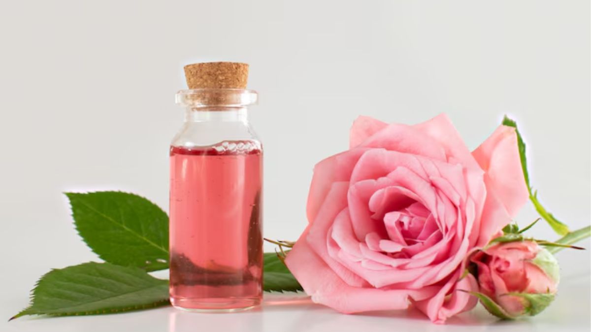 artical  - 2025-05-25T213925.419