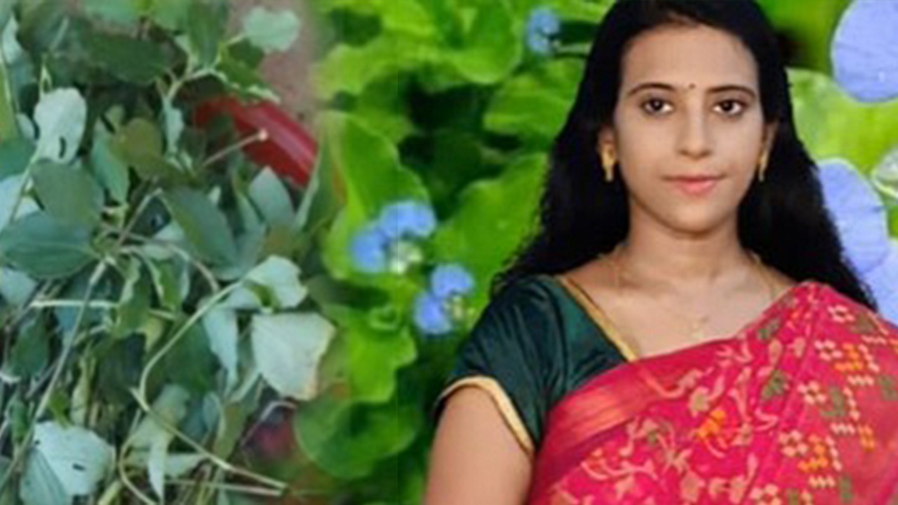 “வயாகராவே தேவையில்லை” - இந்த ஒரு கீரையை தினமும் உணவில் சேர்த்துக்கோங்க - மருத்துவர் மைதிலி அட்வைஸ்!